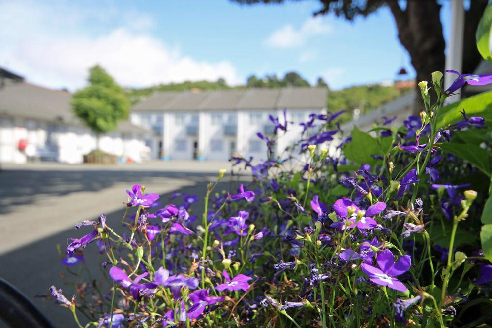 Midway Pacifica Lodge Lower Hutt Exterior foto